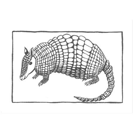 Tintenzeichnung eines Armadillos